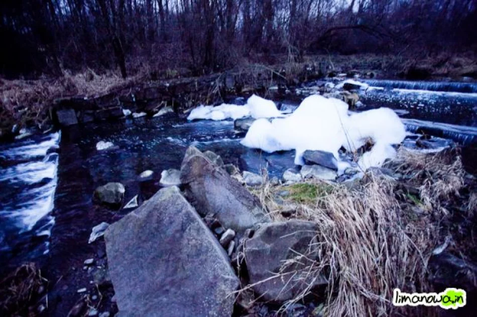 Kilkumetrowa piana na rzece - zdjęcie 4