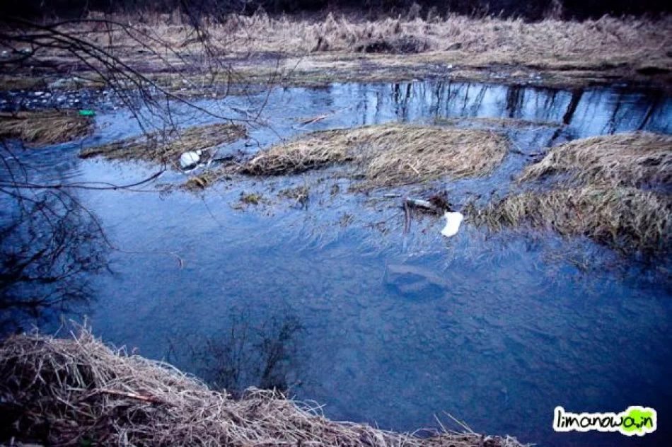 Kilkumetrowa piana na rzece - zdjęcie 5