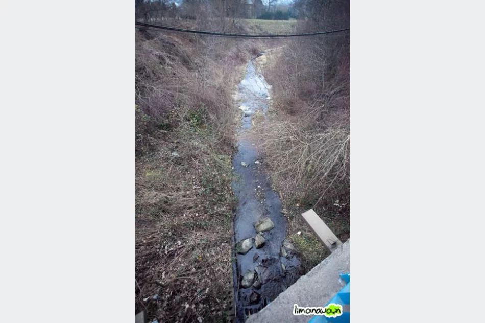 Kilkumetrowa piana na rzece - zdjęcie 7