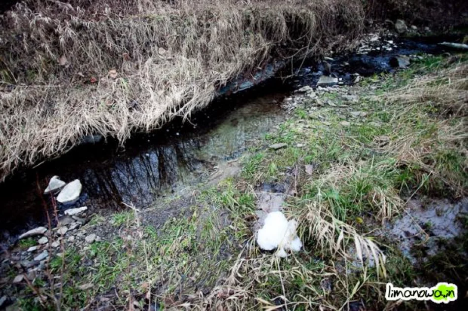 Kilkumetrowa piana na rzece - zdjęcie 8