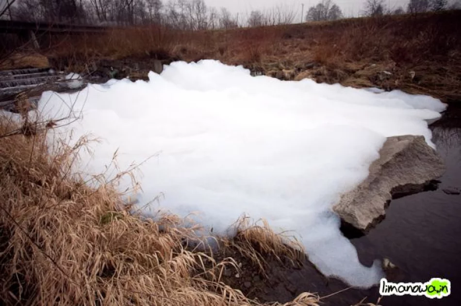 Kilkumetrowa piana na rzece - zdjęcie 9