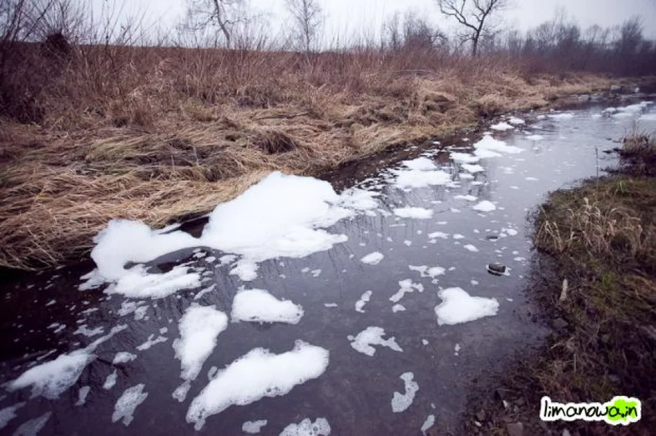 Kilkumetrowa piana na rzece - zdjęcie 20