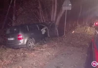 Pięć kolizji. 19-latek wypadł z drogi i uderzył w drzewo - zdjęcie główne