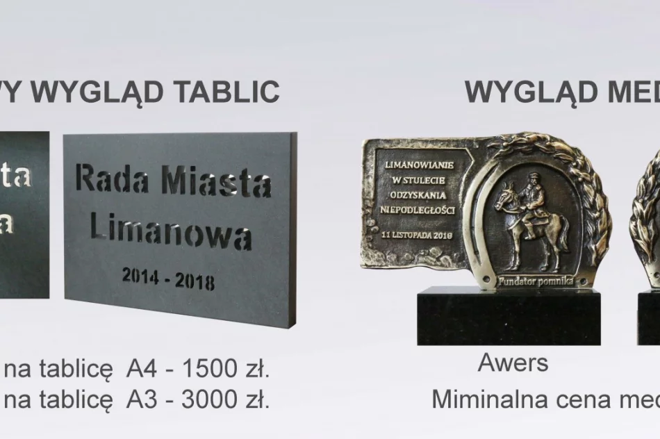 Ruszyła budowa pomnika Marszałka Józefa Piłsudskiego na kasztance - zdjęcie 3