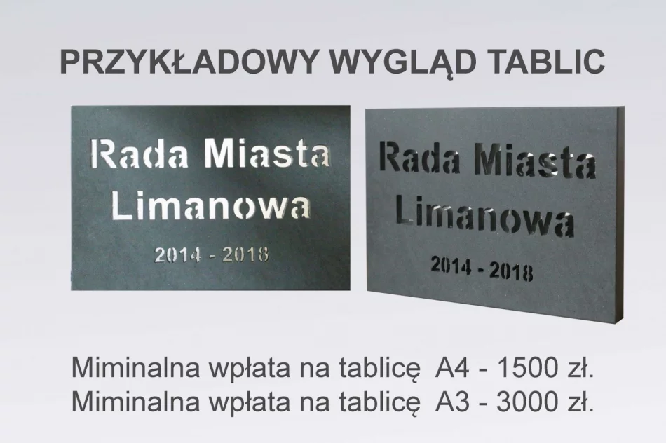 Ruszyła budowa pomnika Marszałka Józefa Piłsudskiego na kasztance - zdjęcie 4