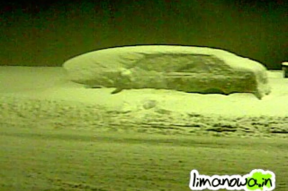 "Uczą parkować" - listopad - zdjęcie 3