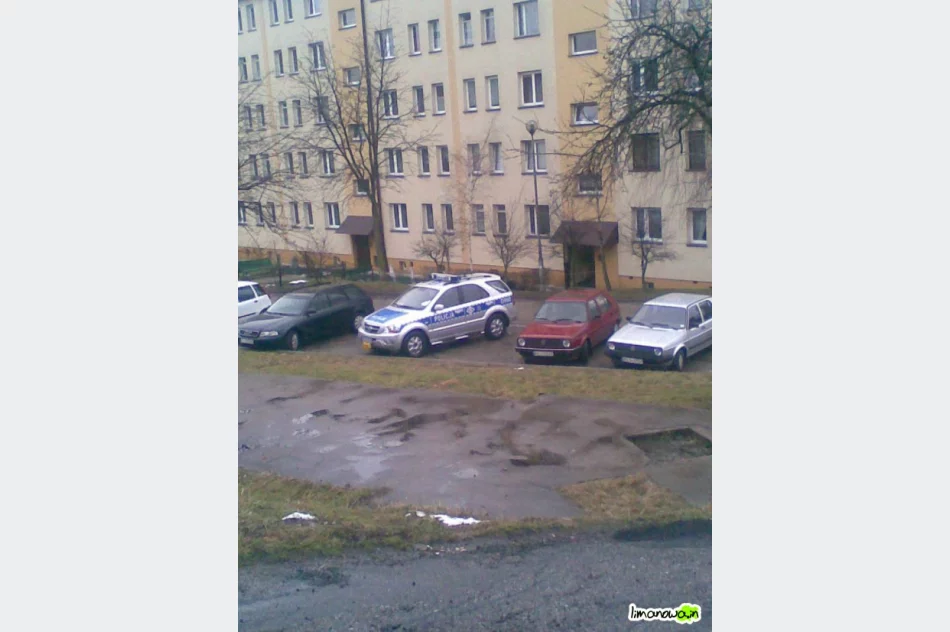 "Uczą parkować" - listopad - zdjęcie 4