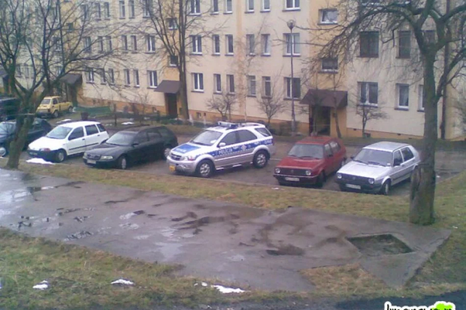 "Uczą parkować" - listopad - zdjęcie 5