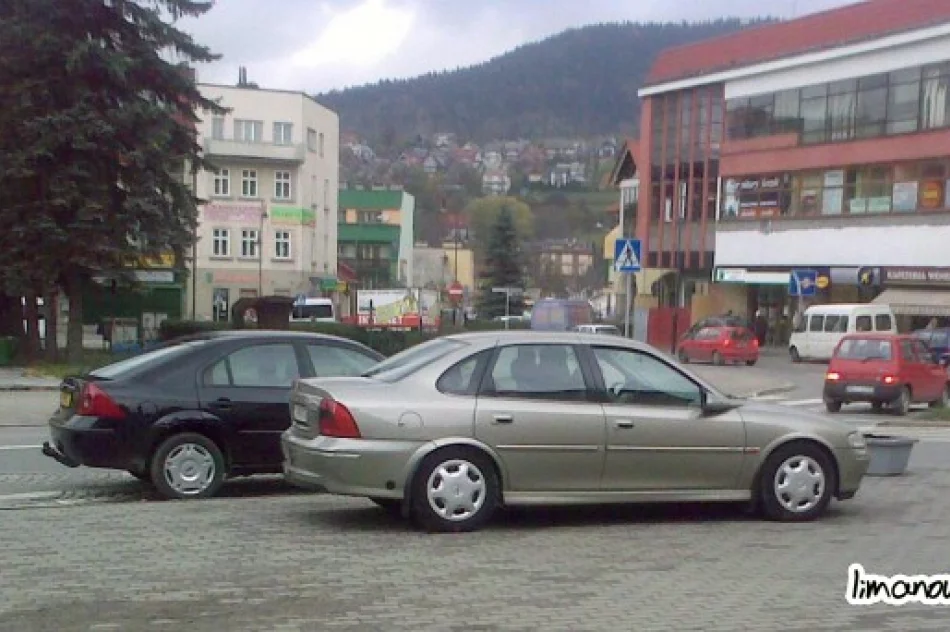 "Uczą parkować" - listopad - zdjęcie 10