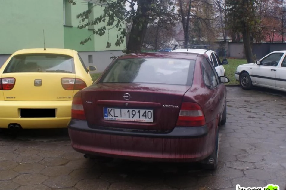 "Uczą parkować" - listopad - zdjęcie 17