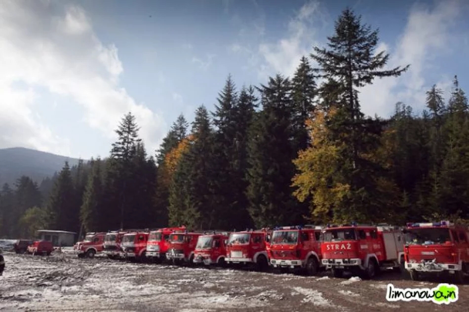 Płonął las - zdjęcie 6