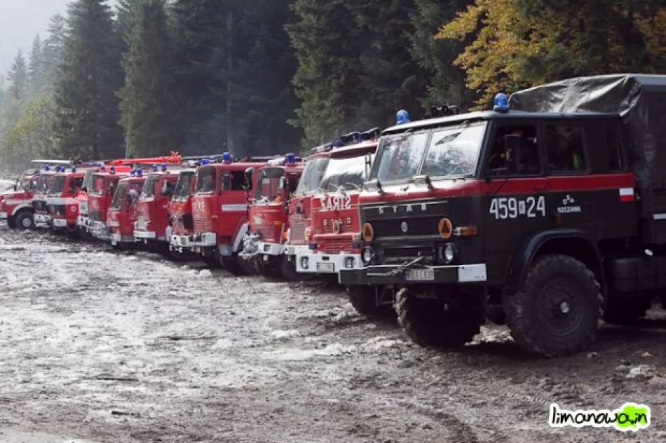 Płonął las - zdjęcie 9