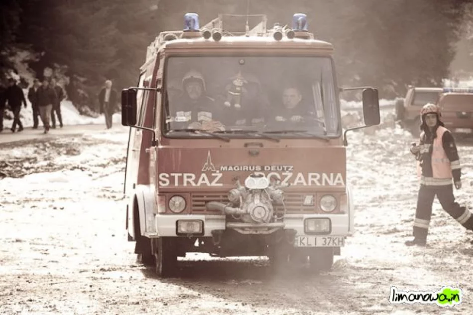 Płonął las - zdjęcie 10