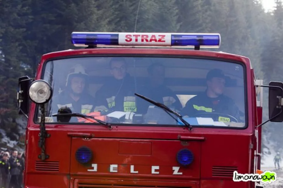 Płonął las - zdjęcie 12