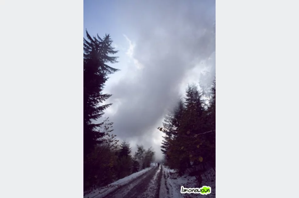 Płonął las - zdjęcie 17