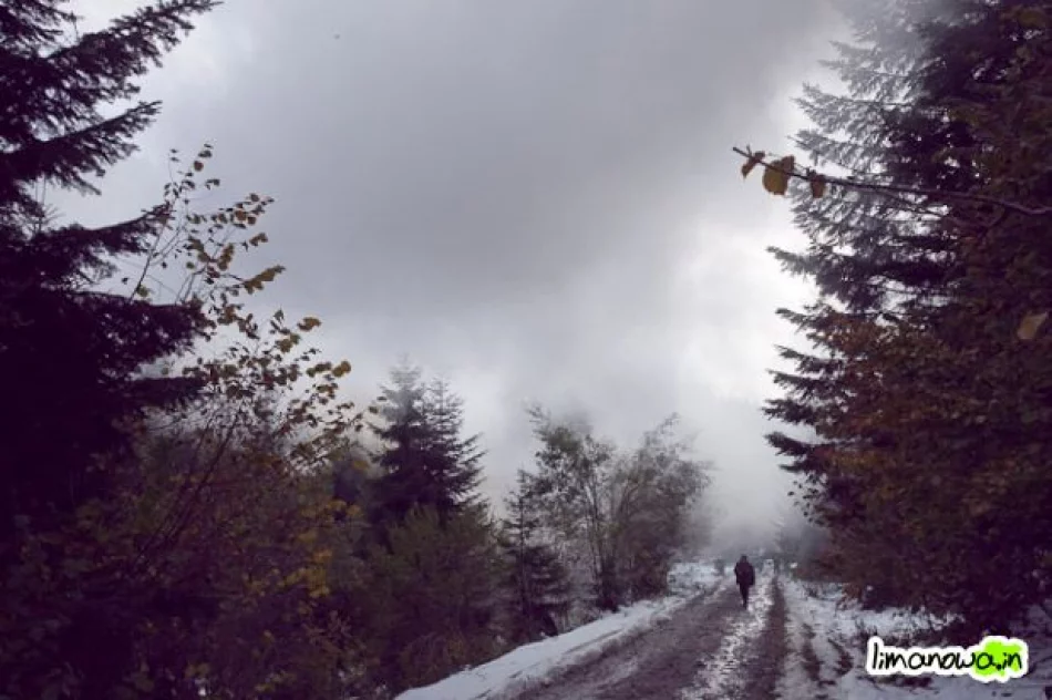 Płonął las - zdjęcie 18