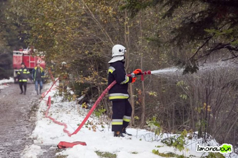 Płonął las - zdjęcie 20