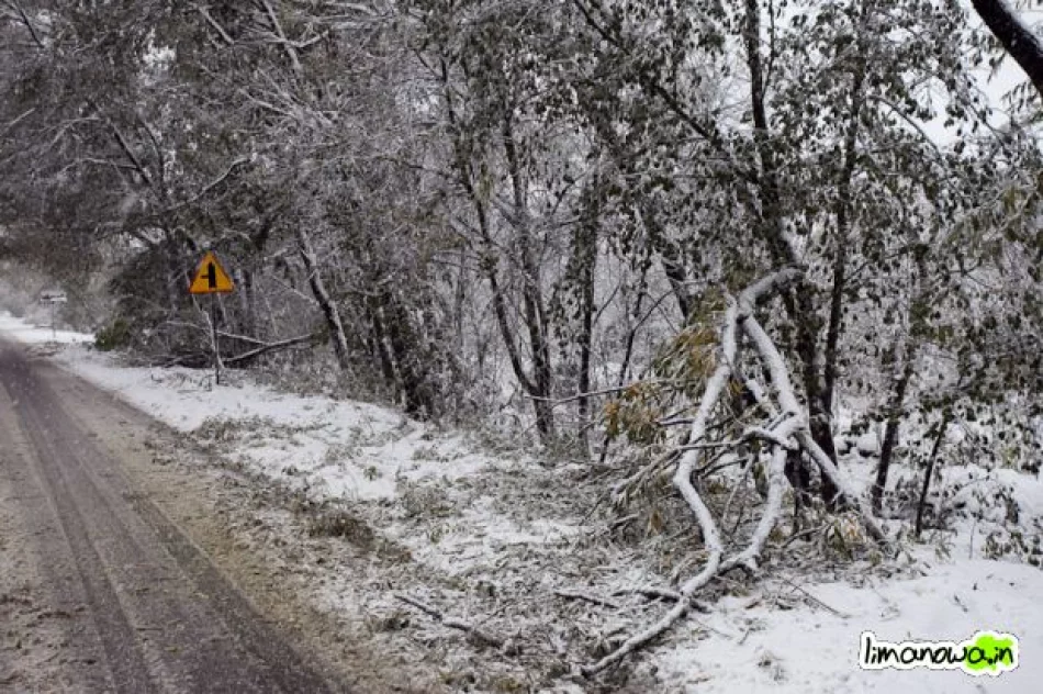 Połamane drzewa blokowały drogi - zdjęcie 2