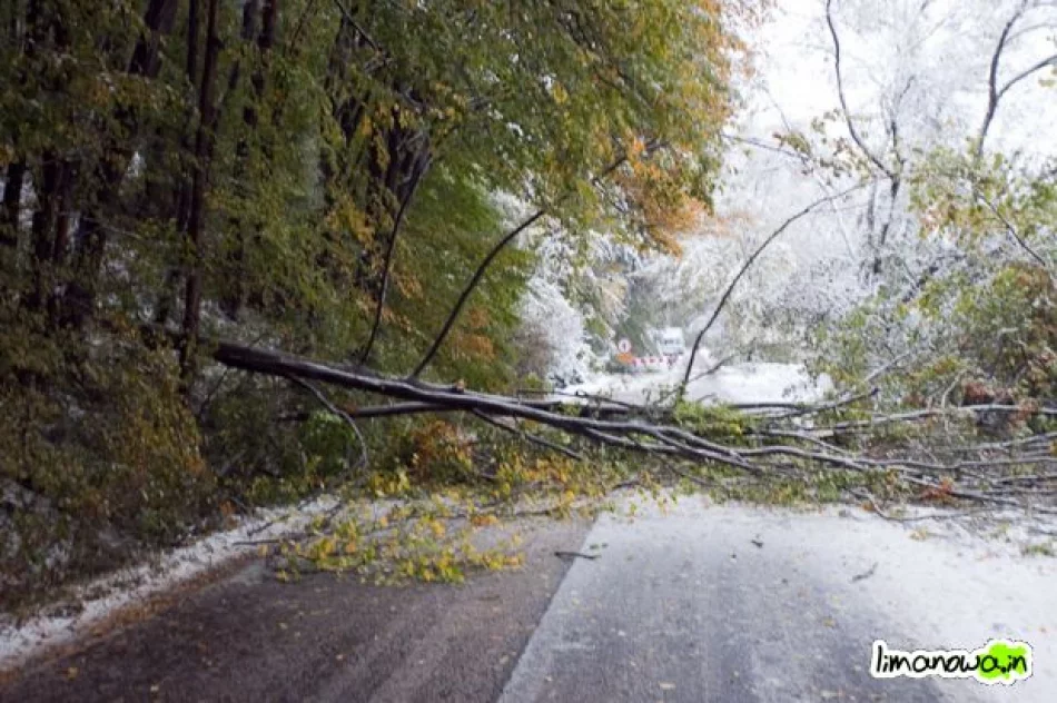 Połamane drzewa blokowały drogi - zdjęcie 3