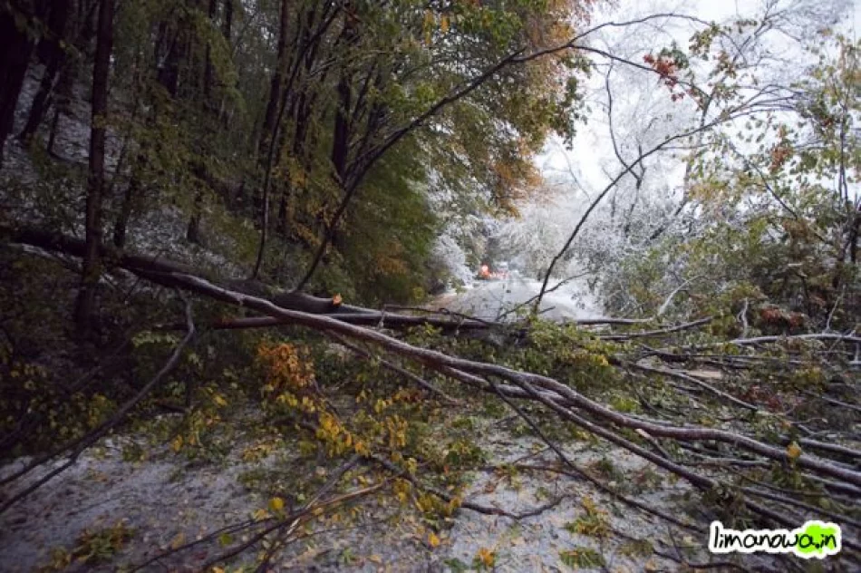 Połamane drzewa blokowały drogi - zdjęcie 4
