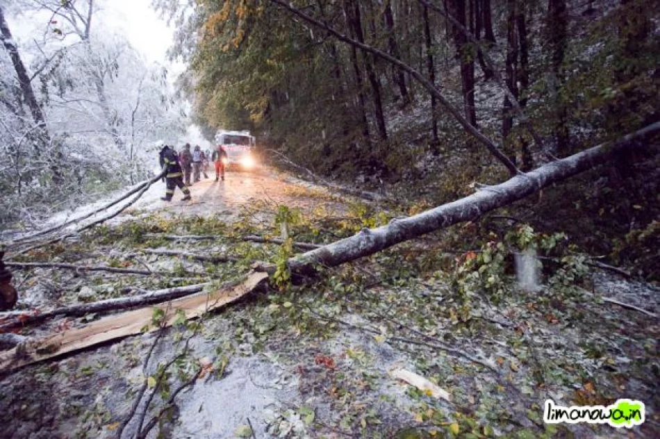 Połamane drzewa blokowały drogi - zdjęcie 6