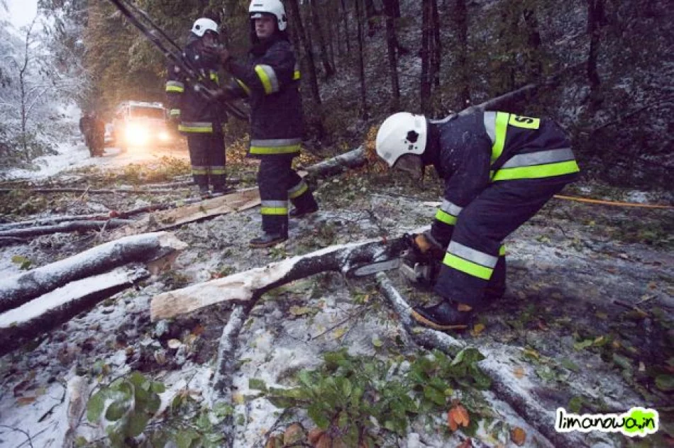 Połamane drzewa blokowały drogi - zdjęcie 7