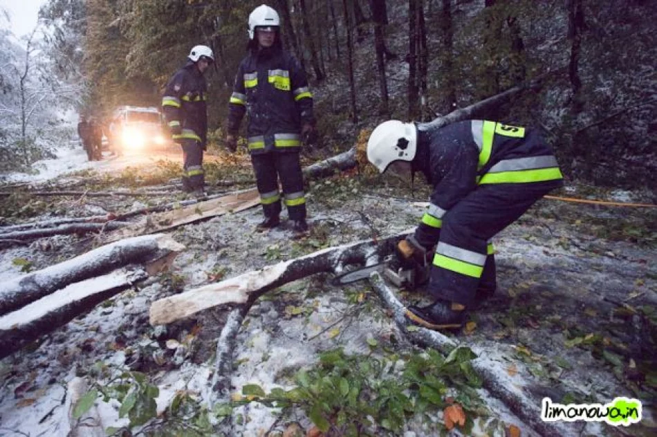 Połamane drzewa blokowały drogi - zdjęcie 8
