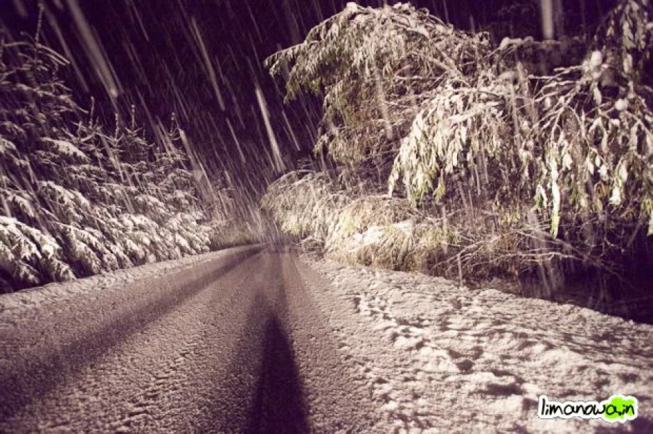 Połamane drzewa blokowały drogi - zdjęcie 9