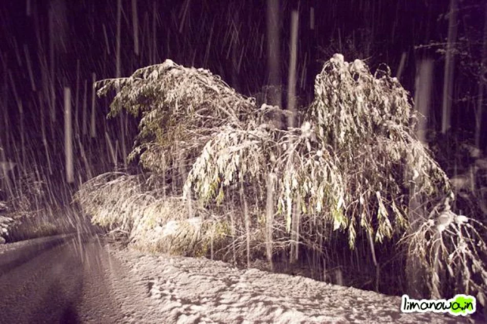 Połamane drzewa blokowały drogi - zdjęcie 10