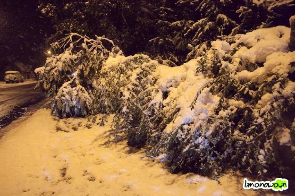 Połamane drzewa blokowały drogi - zdjęcie 11