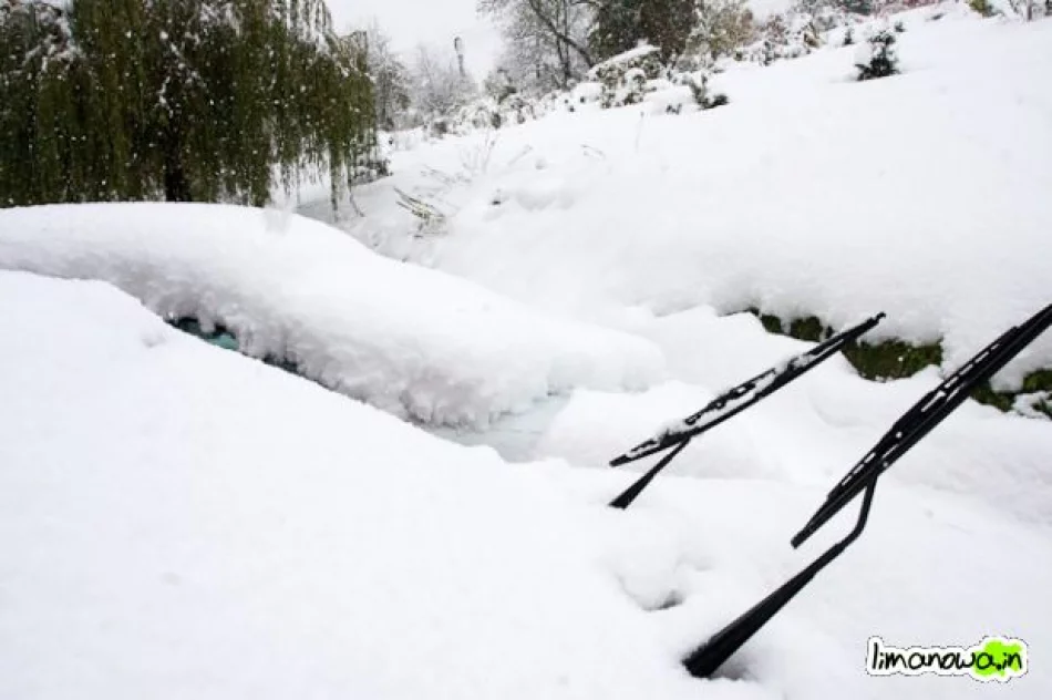 Połamane drzewa blokowały drogi - zdjęcie 13
