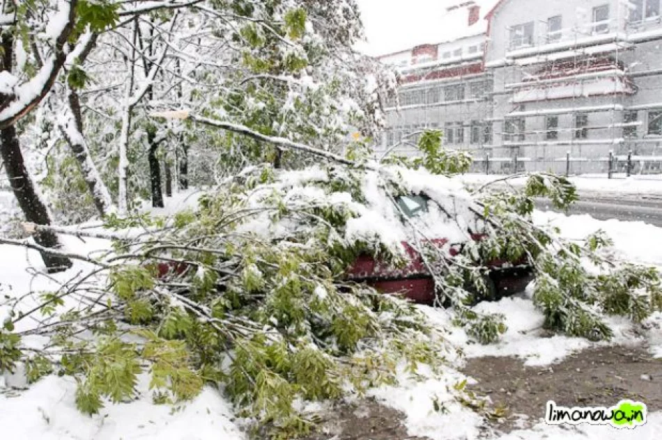 Połamane drzewa blokowały drogi - zdjęcie 15