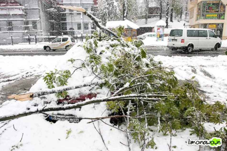 Połamane drzewa blokowały drogi - zdjęcie 16
