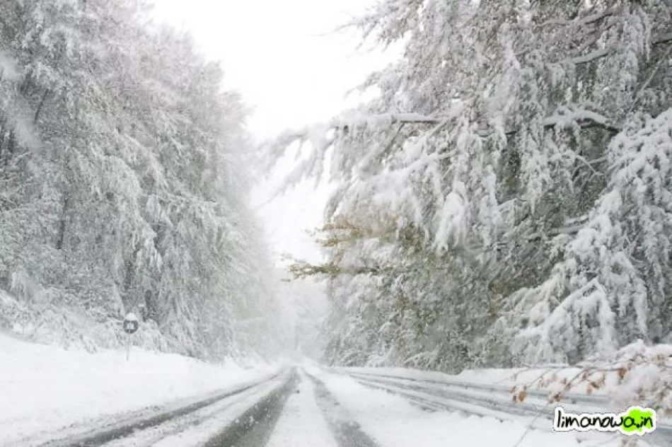 Połamane drzewa blokowały drogi - zdjęcie 17