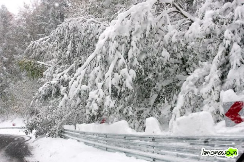 Połamane drzewa blokowały drogi - zdjęcie 18