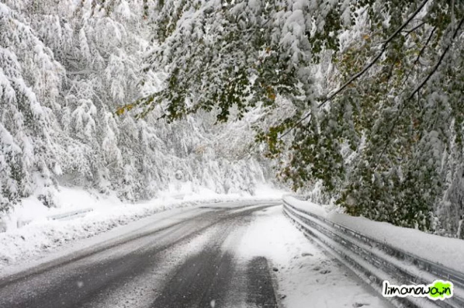 Połamane drzewa blokowały drogi - zdjęcie 19