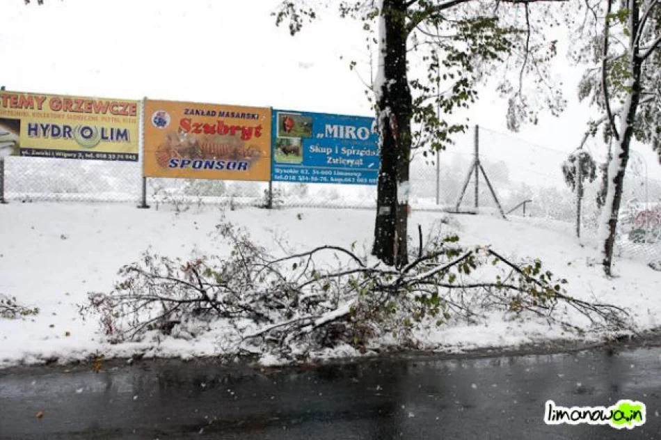 Połamane drzewa blokowały drogi - zdjęcie 20