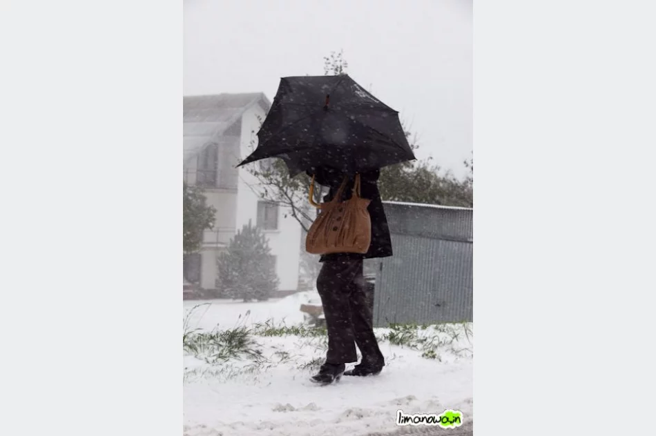 Krajówka nr 28 zablokowana - galeria zdjęć - zdjęcie 4