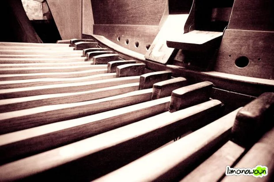 Bisy na finał (zdjęcia + film) - zdjęcie 2