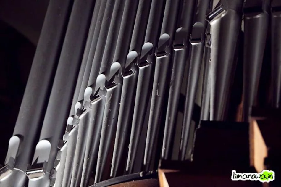 Bisy na finał (zdjęcia + film) - zdjęcie 12