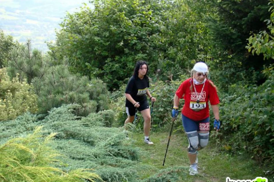 Limanowa Forrest - zdjęcie 19