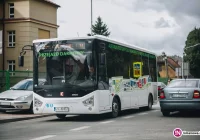 Testowa komunikacja uruchomiona - darmowe przejazdy przez miasto (rozkład) - zdjęcie główne