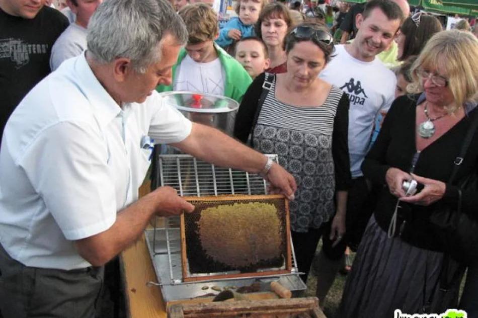 Babska kapusta i smaczśliwki - zdjęcie 6