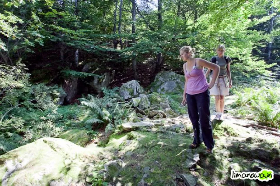 Jaskinia Zbójecka na Łopieniu - zdjęcie 2