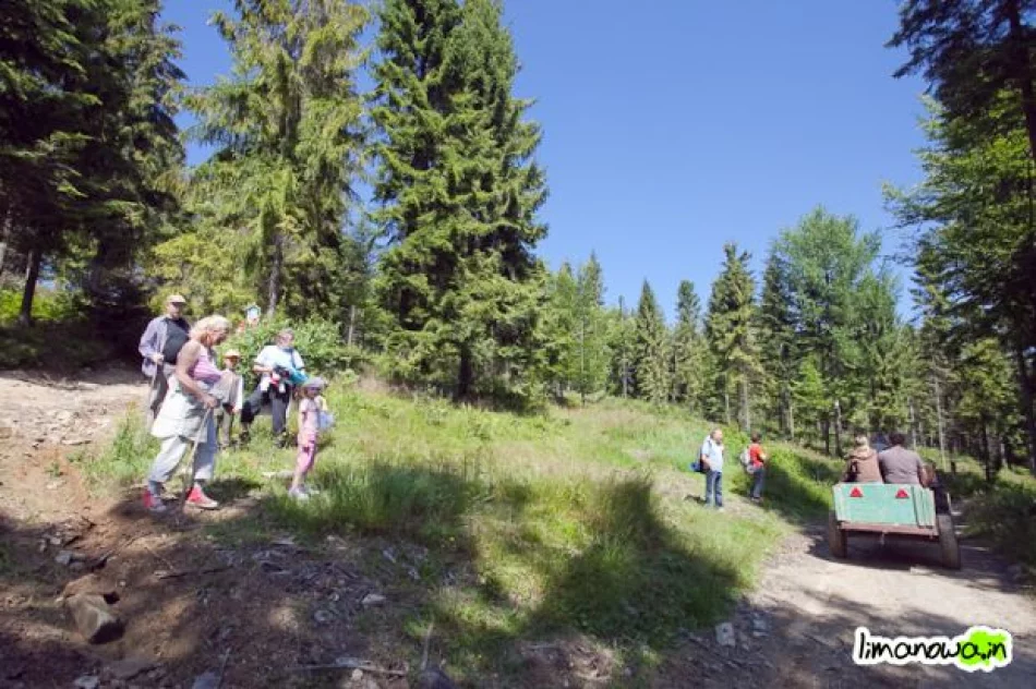 IV Złaz Turystyczny na górze Łopień - zdjęcie 2