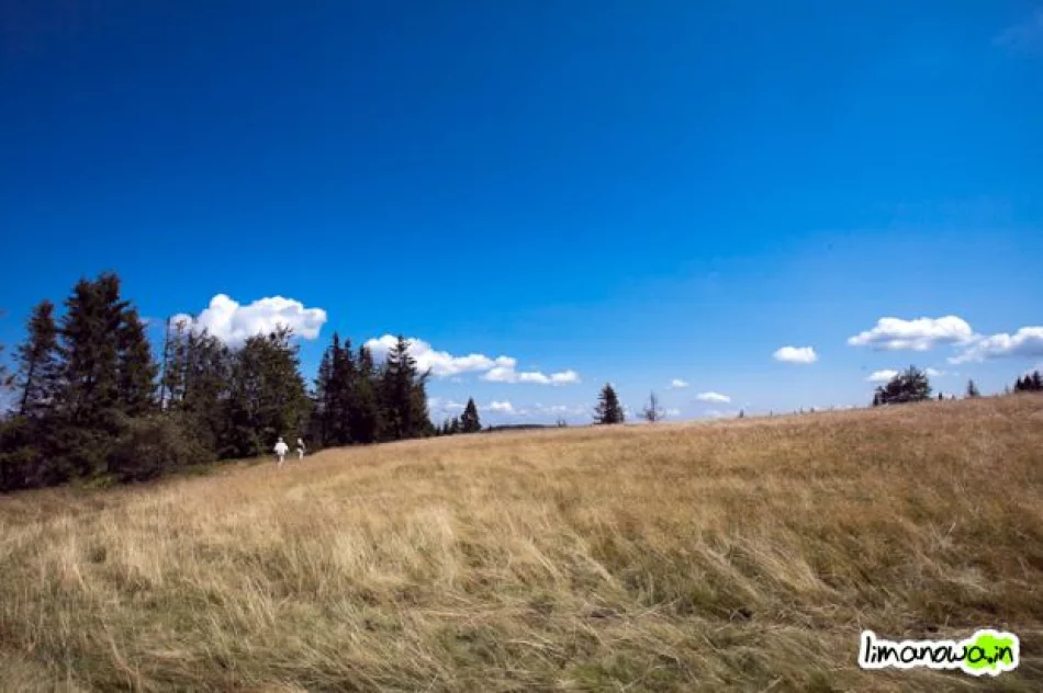 IV Złaz Turystyczny na górze Łopień - zdjęcie 8