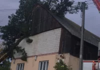 Liczba interwencji wzrosła do 47. Powalone drzewa, uszkodzone dachy, ściana budynku spadła na samochód - zdjęcie główne