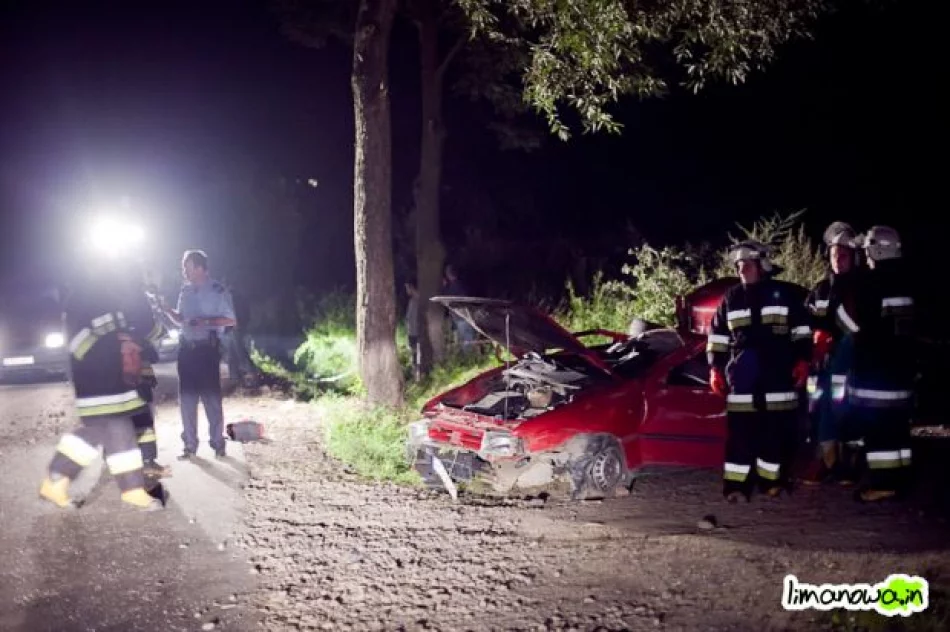 Pijany wjechał w drzewa - zdjęcie 6