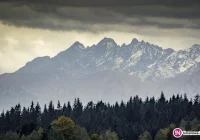 Efekt silnego wiatru: awarie usunięte - zdjęcie główne