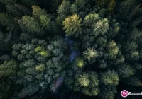 Skarga na uchwałę antysmogową odrzucona - zdjęcie główne